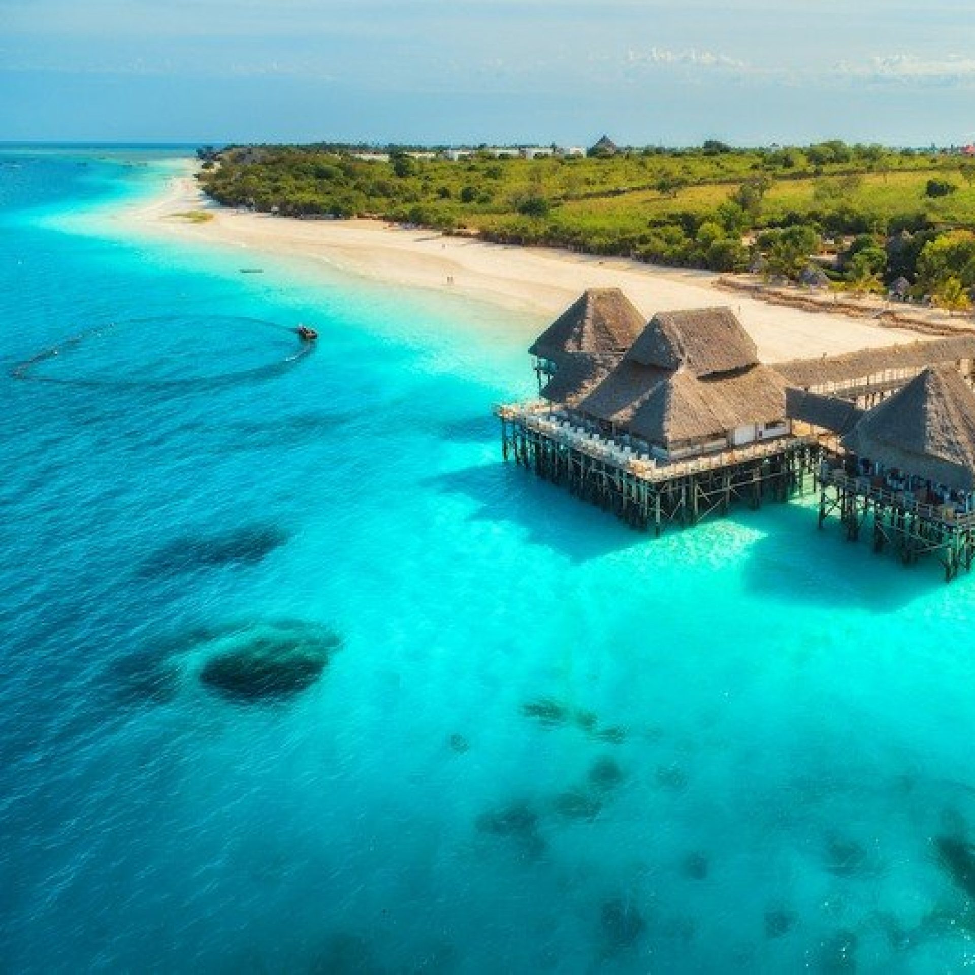 Welcome to Hadada Safaris – Explore Tanzania's Wonders