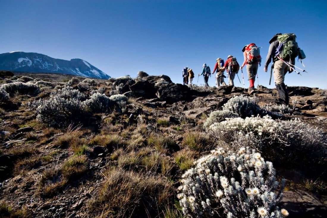 The 6-day Umbwe Route on Mount Kilimanjaro